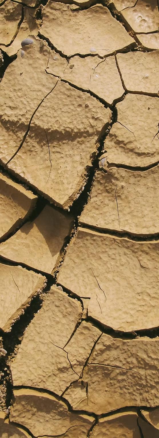 Geotechnical Engineering
